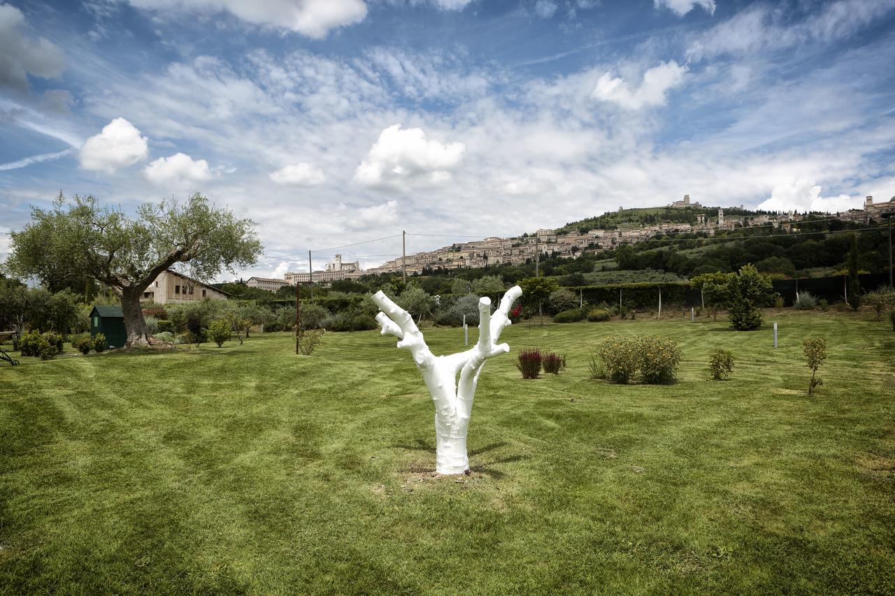 Tenuta San Masseo - Boutique Farm Resort & Spa Assisi Kültér fotó